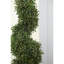 Topiaire de buis 36 po en pot