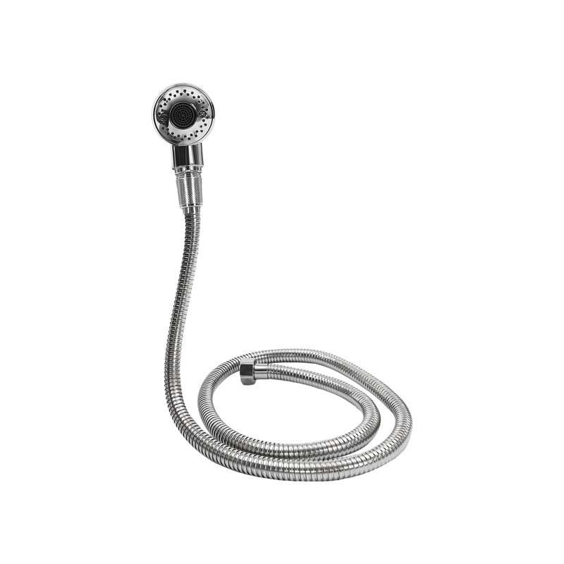 Rain Handheld Shower Head 1.5 GPM GPM