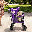 Poussette pour chien avec poussette réglable-101824086