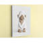 Art sur toile: Lion-1757775586