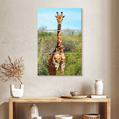 Brampt Awesome South Africa - Giraffe Portrait I