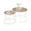 Creary Frame Coffee Table-967541345-967541346