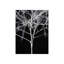Sonora II Print by Chris Dunker-26939198-26939201