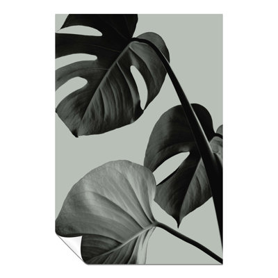 Teal Monstera Leaves - No Frame Print