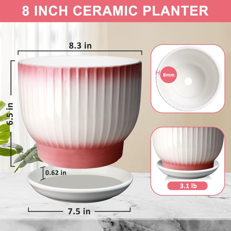 Pot à fleurs 8 "en céramique avec drain et soucoupe