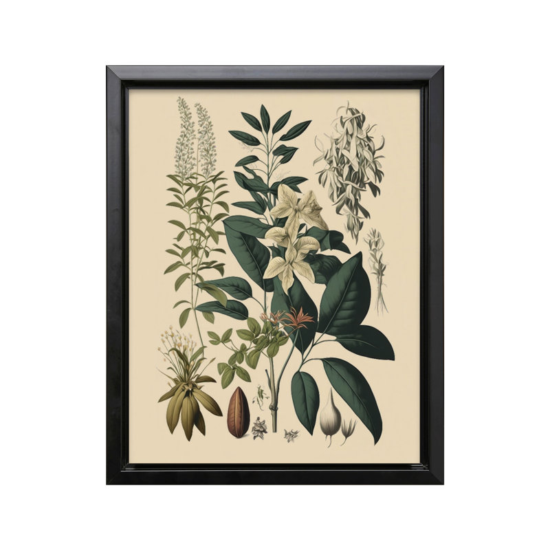 Wild Flower No1, Black Framed, Canvas, 24"H x 32"W