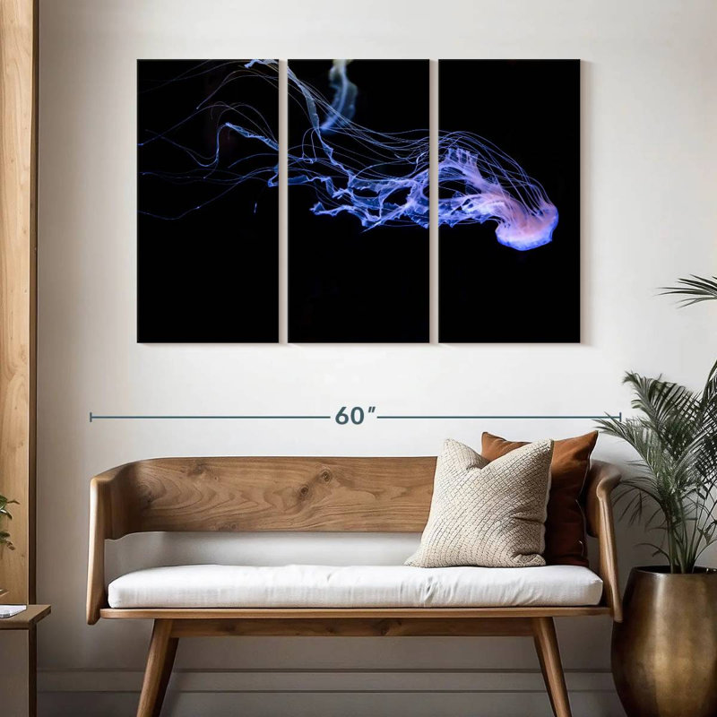 Atlantic Sea Nettle, 32" H x 50" W