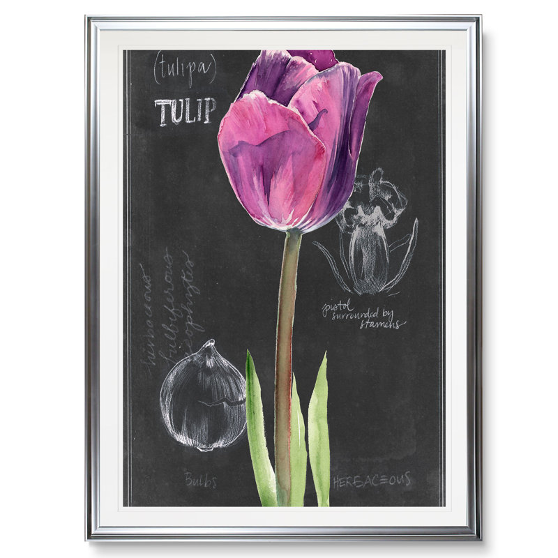 «Chalkboard Flower IV», reproduction, H 24 po x l 20 po x 1,5 po, Cadre argenté