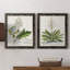 «Allurant Botanical I», ensemble de 2 reproductions d'art sur toiles-1527522526-1527522466