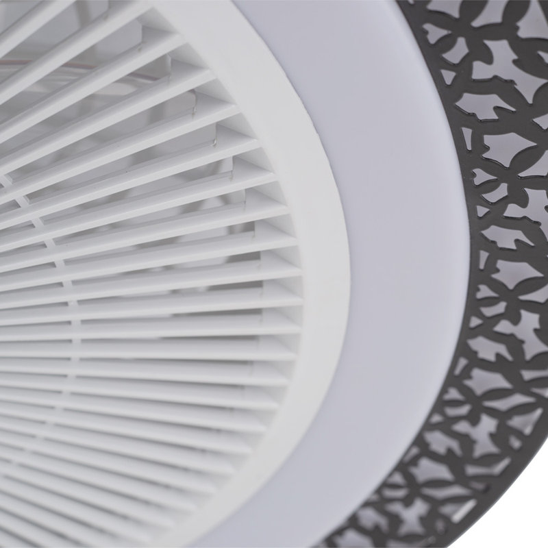 Coye Ceiling Fan with LED Lights