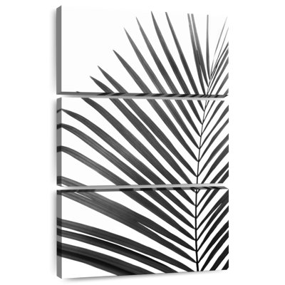 Harnek Palm Leaf In Black And White