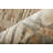 Crumpler Wool Area Rug-1536274560