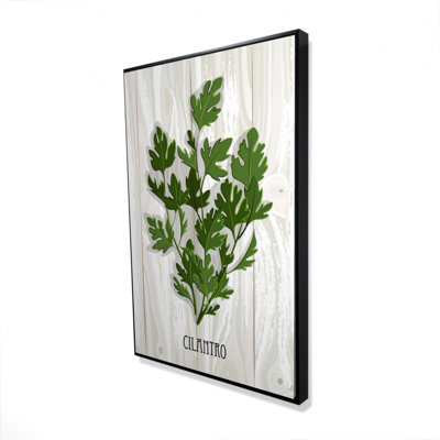 " Cilantro On Wood "