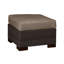 Club Outdoor Ottoman with Cushion-38586788-63361357-70039854