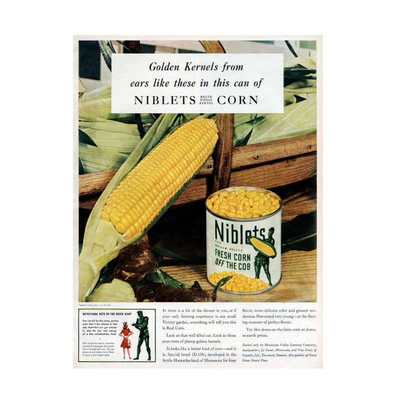 Art américain sur toile, "Inconnu", American Niblets Corn, 1943, H 47 po x l 35 po