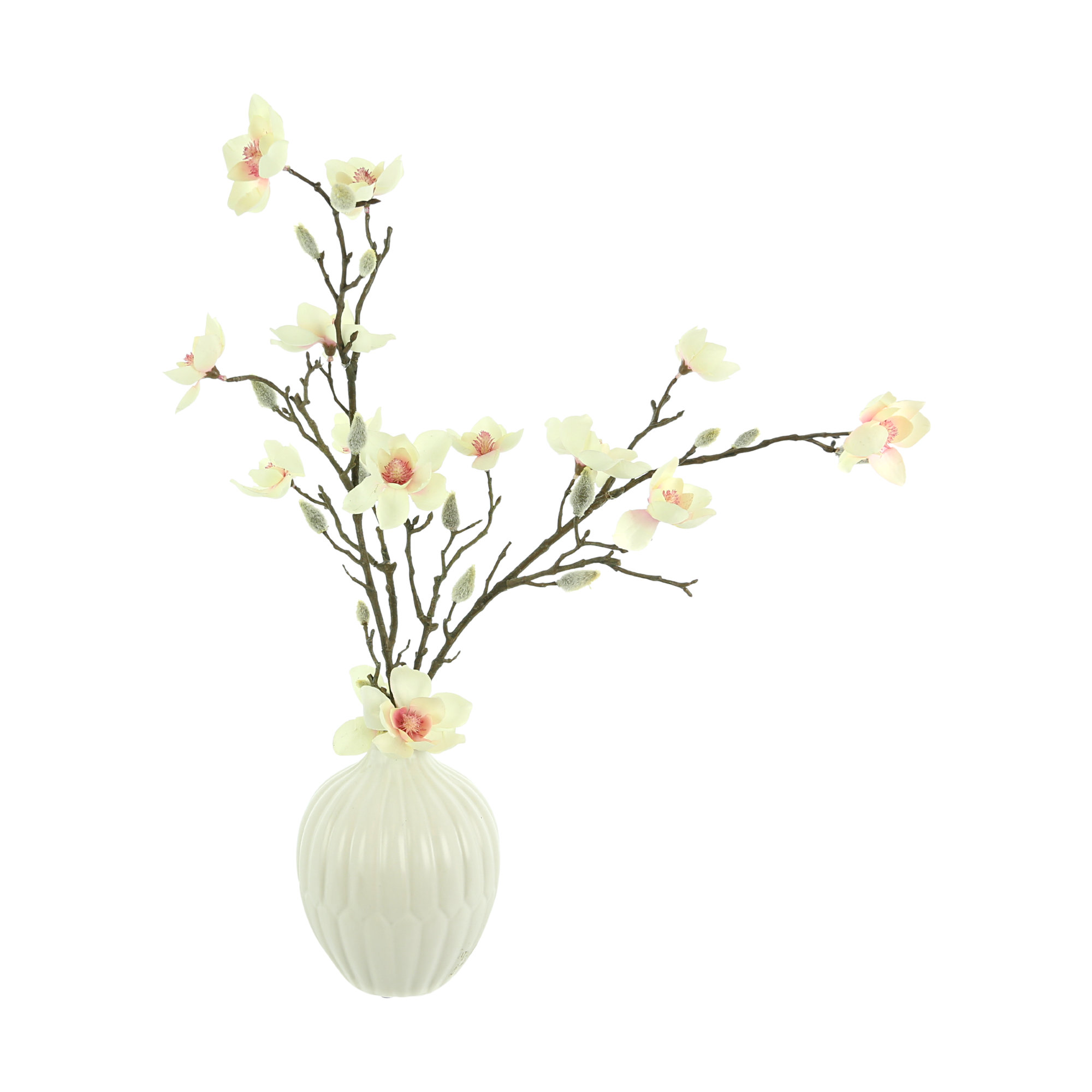 White Ceramic Modern Canister - Magnolia