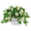 Outdoor UV Hydrangeas Arranged in Fiberstone Pot-215098895