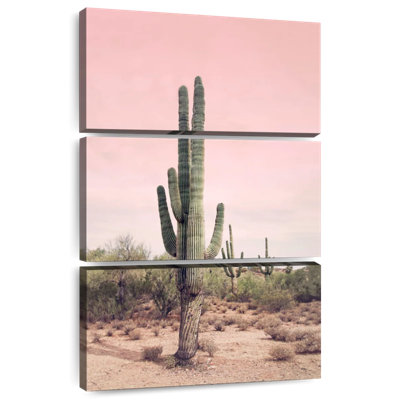 Harnek désert cactus rosé