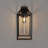 Outdoor Wall Sconce 1 Light Rectangular Metal Frame and Clear Glass Shade