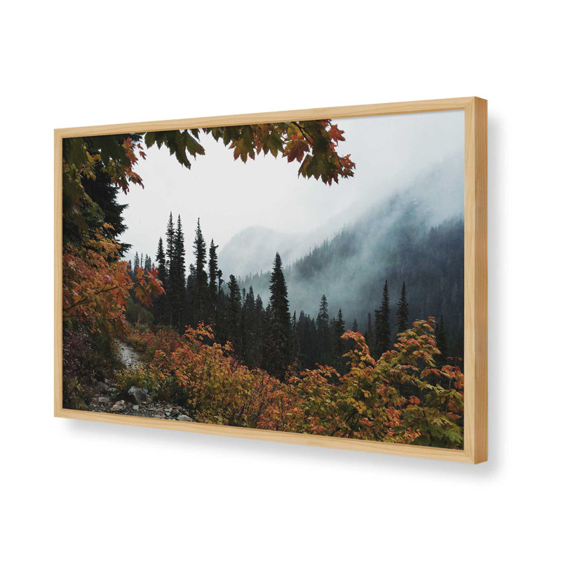 «Fall», impression encadrée par Kevin Russ, H 24 po x l 32 po, Tanné