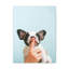 French Bulldog Says Quiet Canvas Wall Art-1991102777