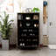 18 Pair Shoe Storage Cabinet