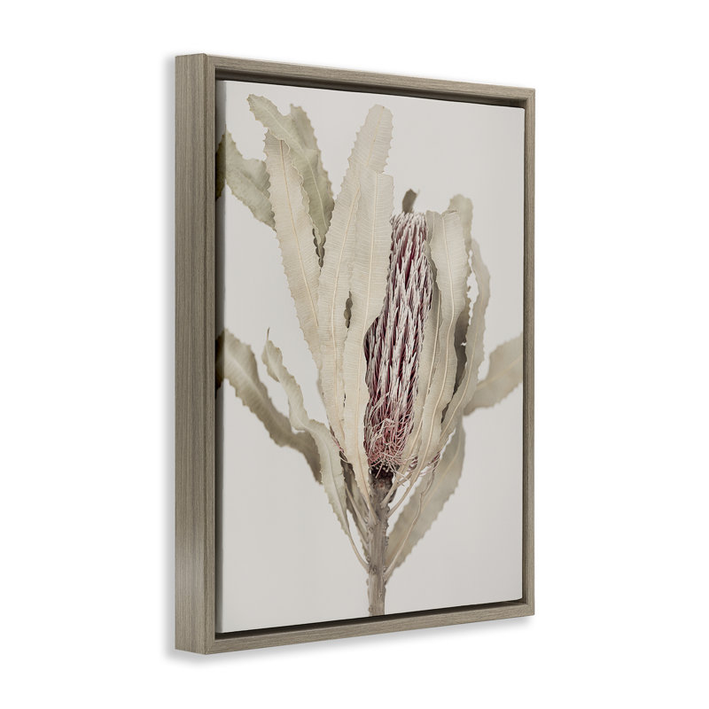 Cadre flottant caché Banksia, H 21 po x l 17 po, Cadre flottant orme Montalcino