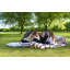 Moffett Twin 4'' Mattress Pad