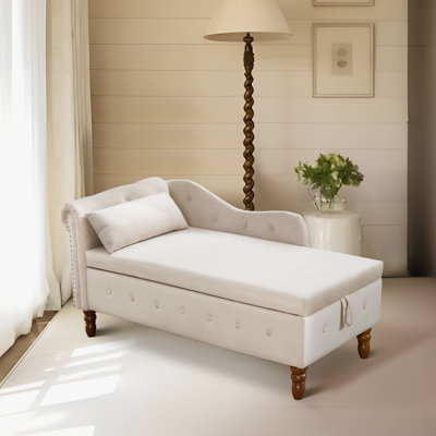 Allien Modern Velvet Upholstery Nailhead Trim Chaise Lounge Chair with Storage and Pillow by House of Hampton