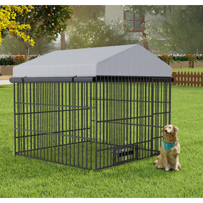 Chenil d'extérieur robuste en métal pour chien - Enclos pour animaux de compagnie | Grand clapier pour chien pour la cour et la ferme