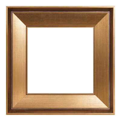 Canves Floater Picture Frames Antique Gold