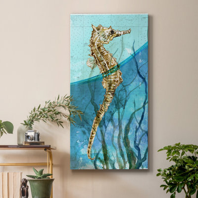 " Atlantic Seahorse "