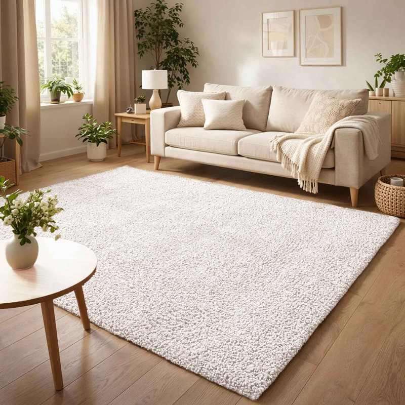 Ainsley Plain Living Room Shaggy Area Rug Modern Soft Pile Polyester Rug, Cream, Rectangle 60 x 110 cm