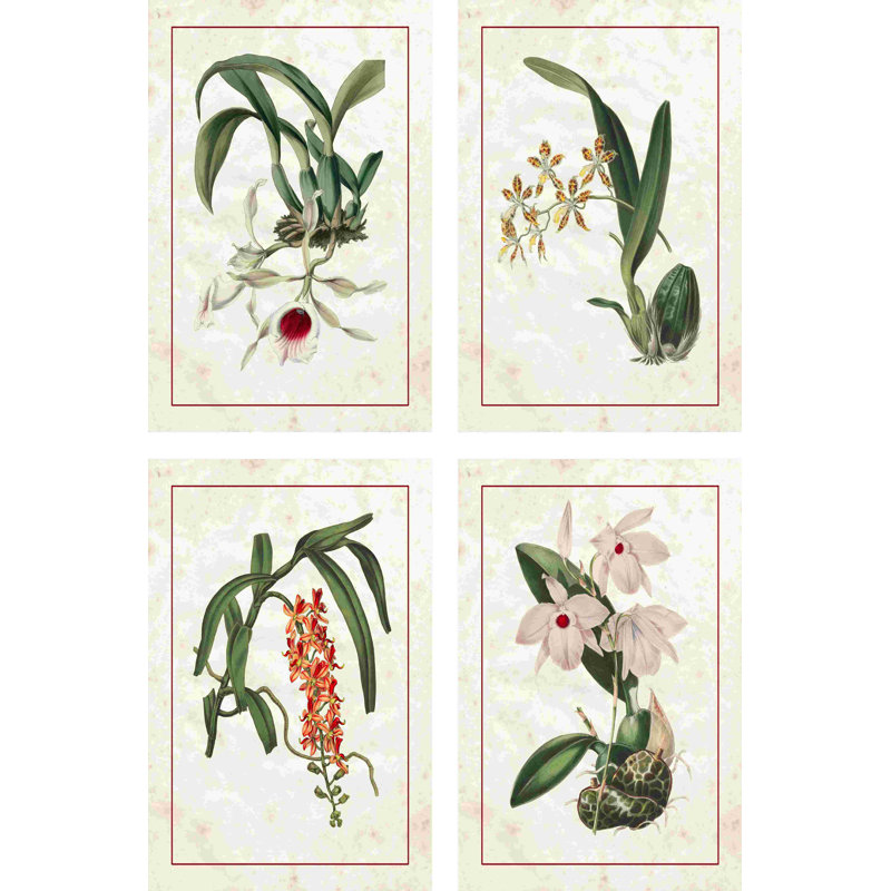 Mini orchidées, H 18 po x l 12 po