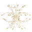 Oliver Chandelier