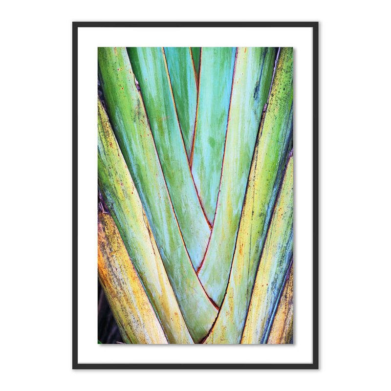 Nature II Color Print by Erica Singleton, 48" H x 34" W x 2.5" D, Black