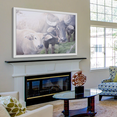 Parvez Taj - Single Picture Frame Print