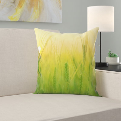 Coussin de terrain d’orge