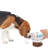 2-In-1 Stainless Drinking Bottle For Pet-14Oz