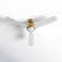 Erina 52'' Ceiling Fan with LED Lights