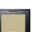 Craven 3-door Cane Cabinet