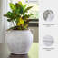 Vase Ashly-621909426