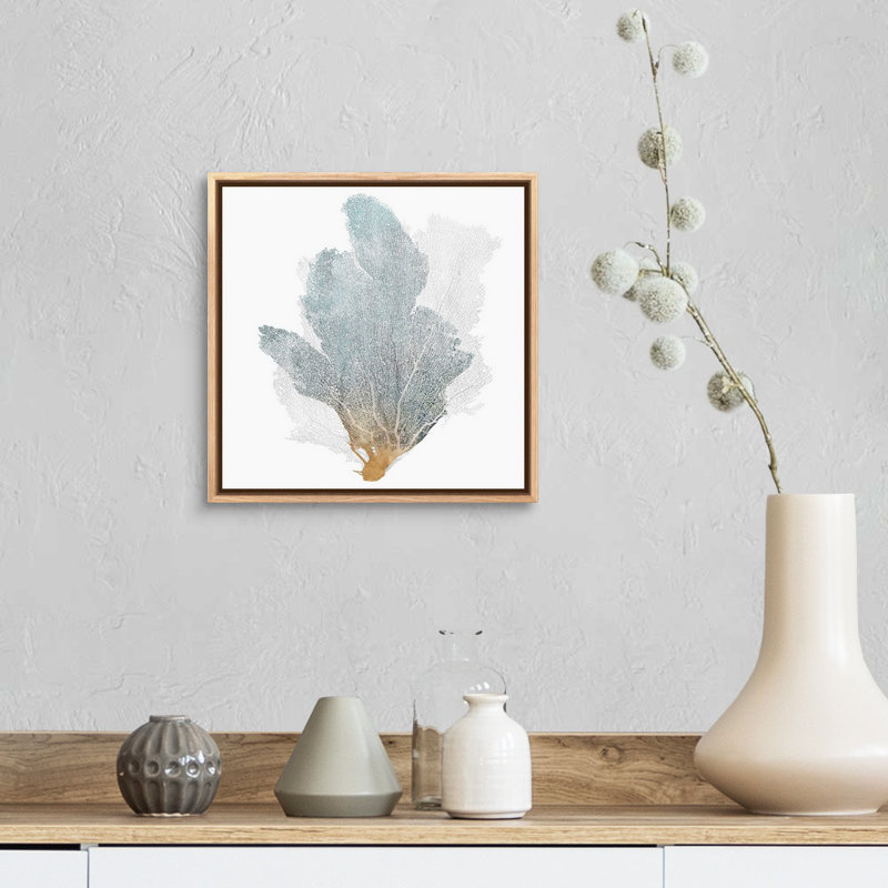 «Delicate Coral II» par Isabelle Z - reproduction d'art sur toile, H 13,25 po x l 13,25 po, Toile avec cadre photo