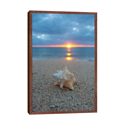 Pastel Shell Dawn Vert by Sean Davey - Print on Canvas