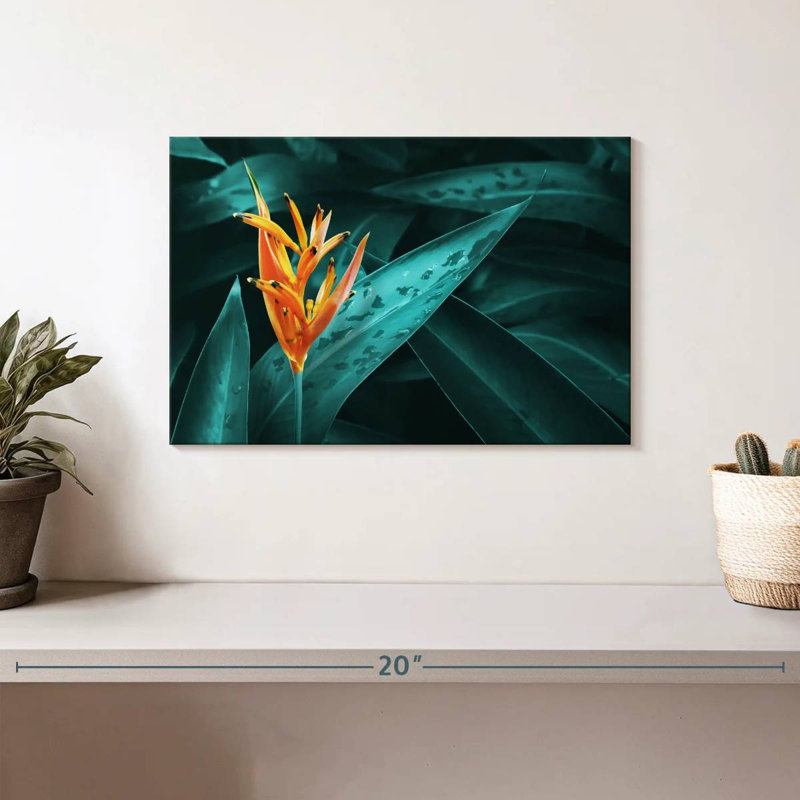 Orange Harnek Heliconia, H 8 po x l 12 po