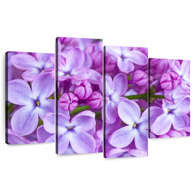 Harnek Blossoming Lilac Flowers