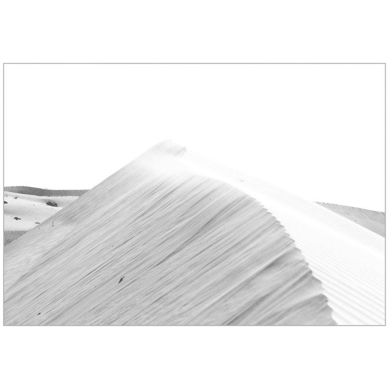 White Dunes 2 Print by Thom Filicia