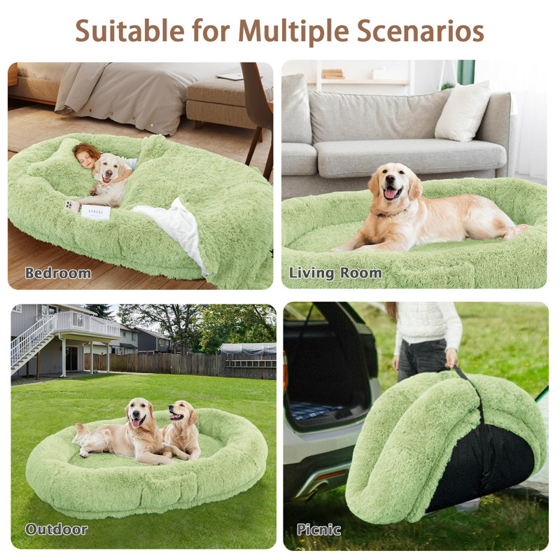 Grand lit pour chien de 71 po avec oreiller moelleux, couverture, vert, H 12 po x l 71 po x P 45 po, Vert