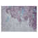 Machine Washable Indoor/Outdoor Xhevrie Lavender Rug