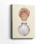 Coquilles bivalves III - Cavas enveloppés de galerie-1758055770